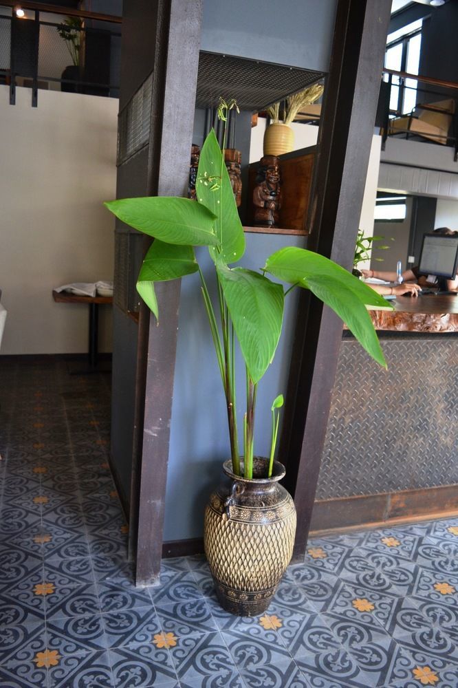 巴萨克季风酒店 金边 外观 照片